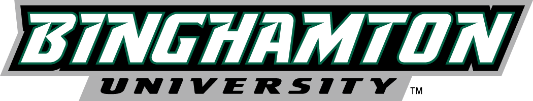 Binghamton Bearcats 2001-Pres Wordmark Logo v2 iron on transfers for T-shirts